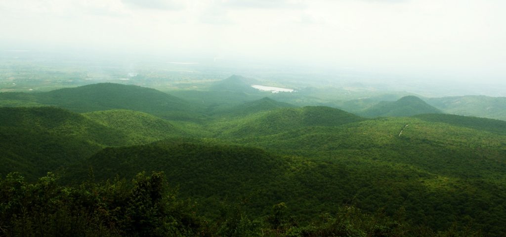 Biligiri-Rangana-hills