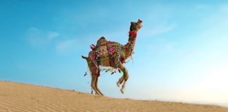 New Rajasthan Tourism ad #MusicSthan Video, Song, Ringtone