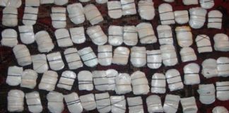 Drugs seized in udaipur