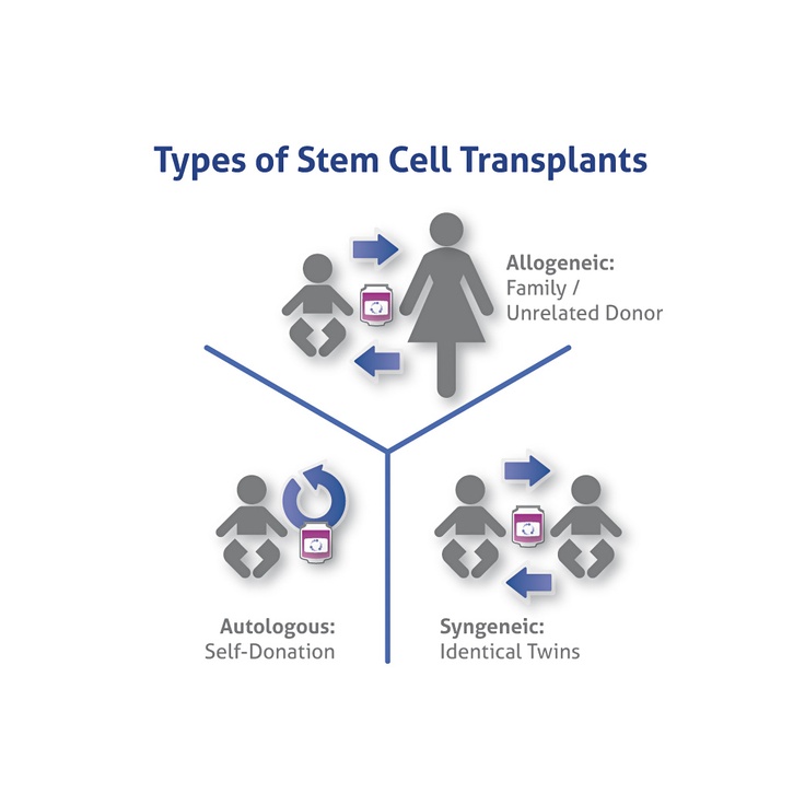 Allogeneic transplant, autologous transplant and haploidentical transplant are 3 types of treatments offered to the patients.