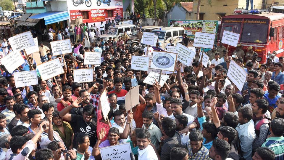 Protesters observed a peaceful protest against Jallikattu ban at Marina Beach in Chennai.