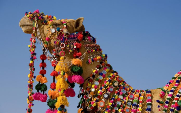 Deset festival 2017 Jaisalmer