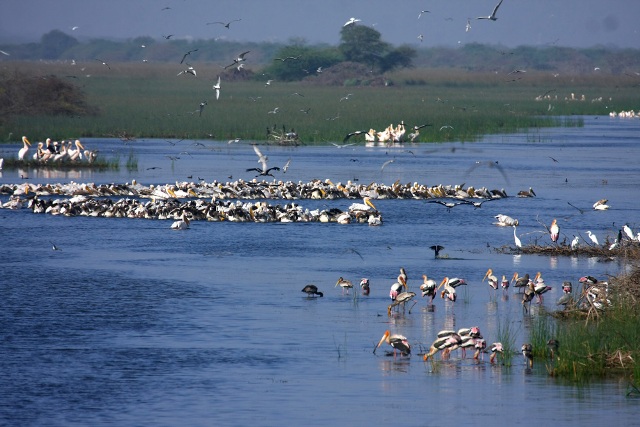 River Gambhir in Chittorgarh is a tempting tourist attraction.