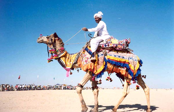 Nomadic tribes are unable to take advantage of government schemes therefore camel camps will provide them necessary education and financial assistance for the same.