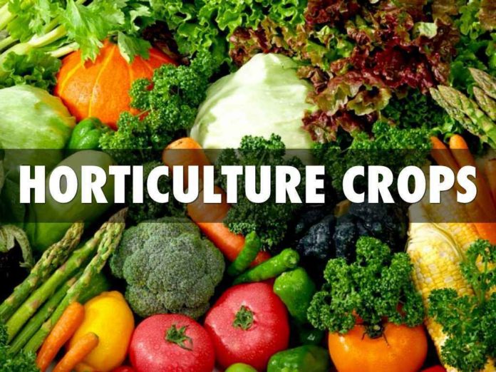 Kota GRAM 2017 will Explore Investment Opportunities in Horticulture to Boost Agriculture Economy