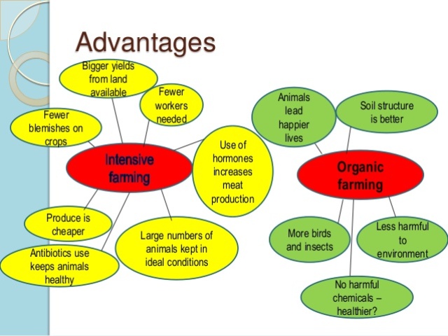 The Benefits of Organic Farming.