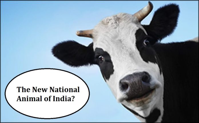 Cow the new national animal of India!
