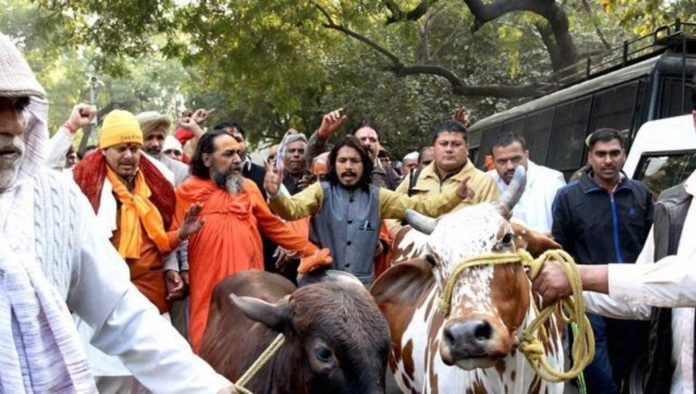 gau rakshaks protesting in public in favor of cow vigilantism