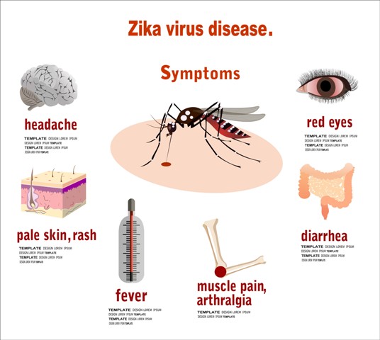 Common Symptoms of Zika Virus attacks.