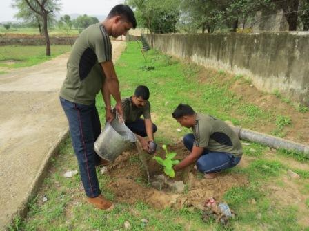Besides restoring water reservoirs, large-scale tree plantation characterized MJSA.