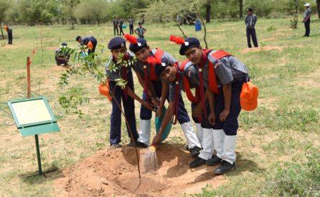 Scouts planting tree in Rajasthan.