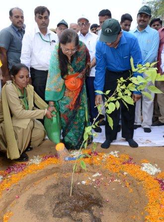 Rajasthan CM Vasundhara Raje and Dr. Harshvardhan planting trees on the occasion of 68th Van Mahotsav.