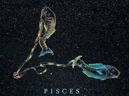 Pisces Constellation in the Universe.
