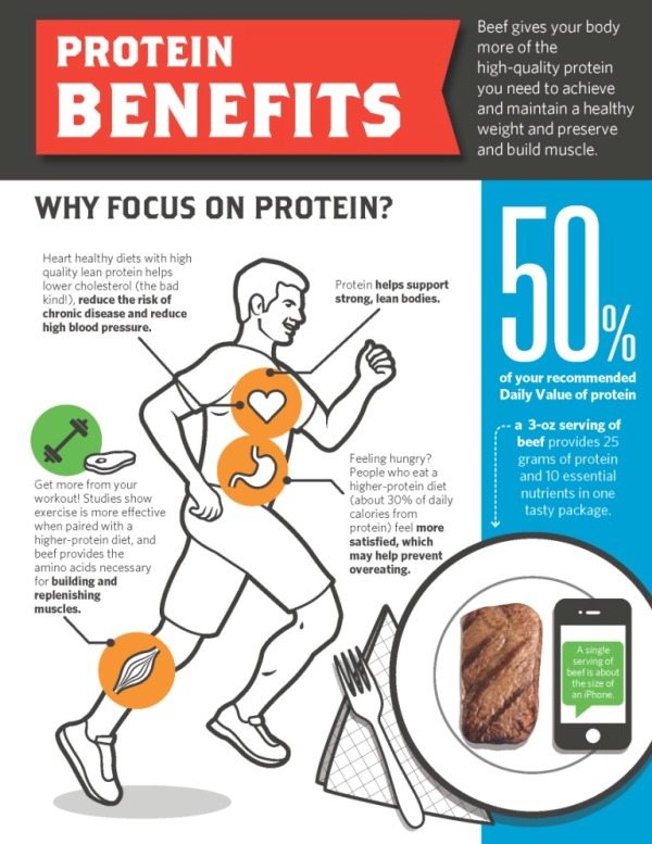Infographics: Why are Proteins Beneficial for our Body!