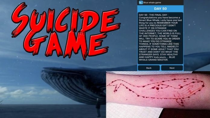 Killer blue whale claimed thousands of lives worldwide.