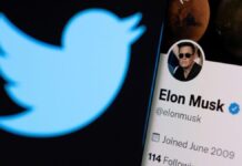 Twitter, Twitter's blue tick, Elon Musk